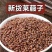 莱菔子中药材新货正品炒莱菔子无硫无杂散装批发