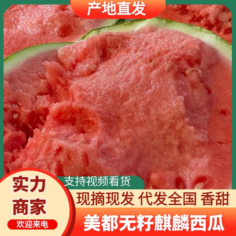 河南夏邑精品麒麟西瓜8424无籽美都西瓜原产地直发品质保证