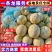 《蜜露流星甜瓜》单县基地直供/规格齐全/量大从优/全国发