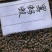 黑蚂蚁