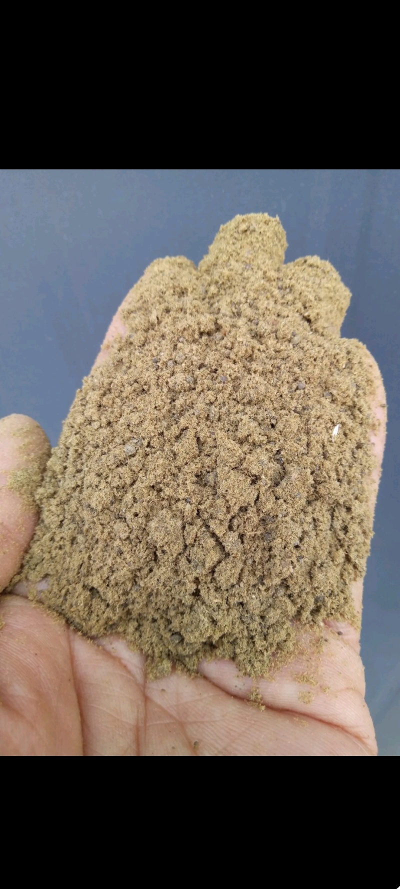国产鱼粉蛋白51，新鲜度60纯鱼制作蛋白高，吸收好养殖用