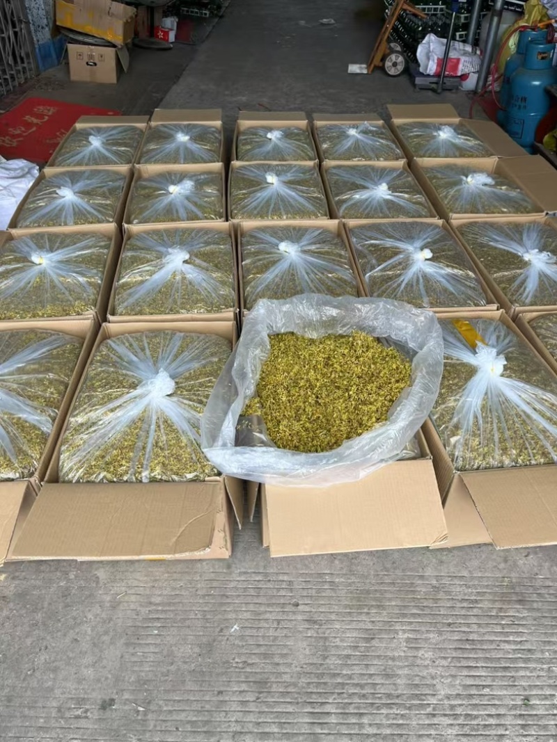 云南（西双版纳基地发货）高山铁皮石斛干花