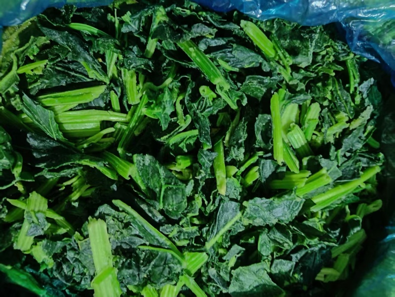 速冻菠菜段菠菜碎