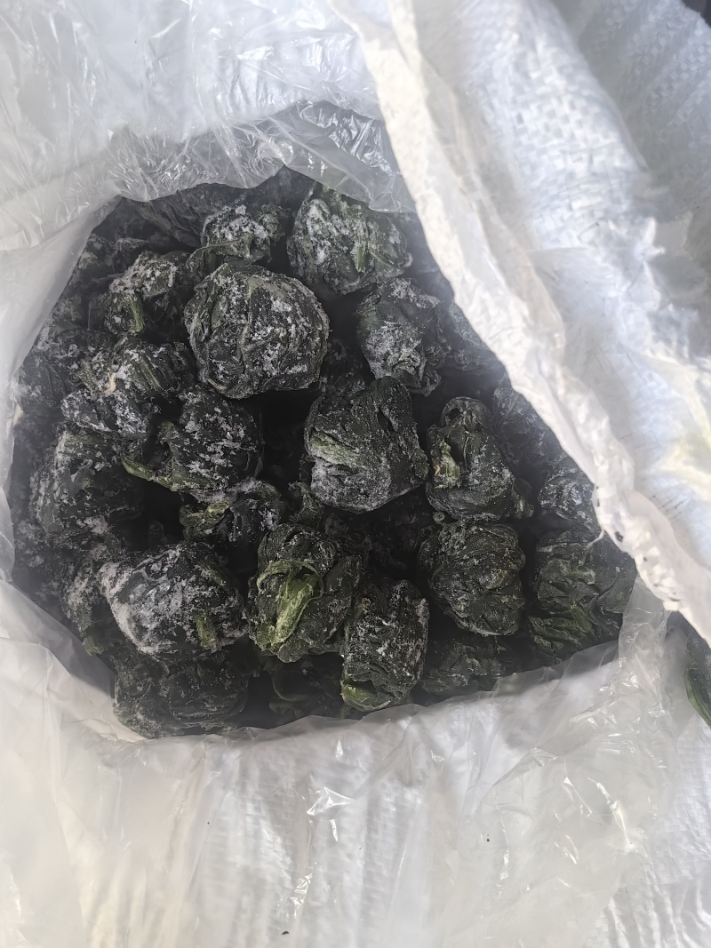 速冻菠菜段菠菜碎