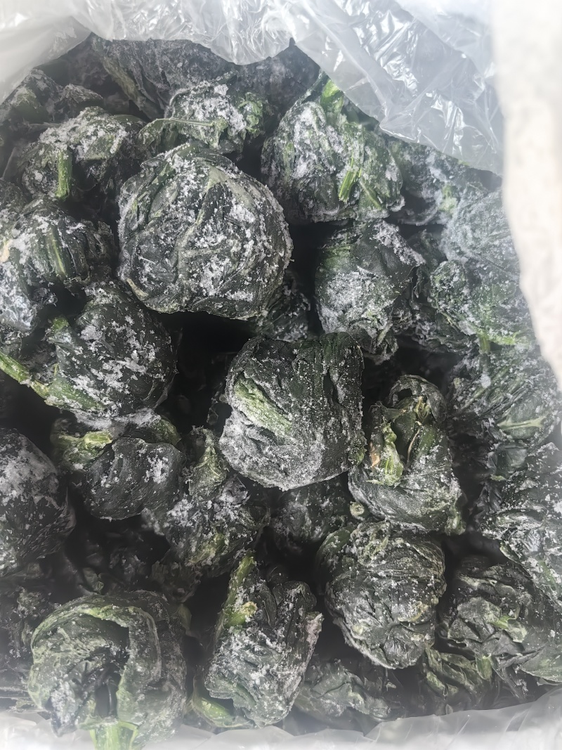 速冻菠菜段菠菜碎