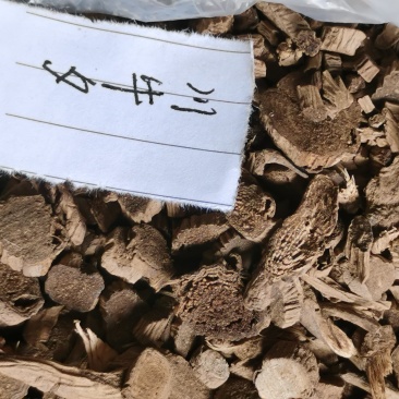 川牛膝