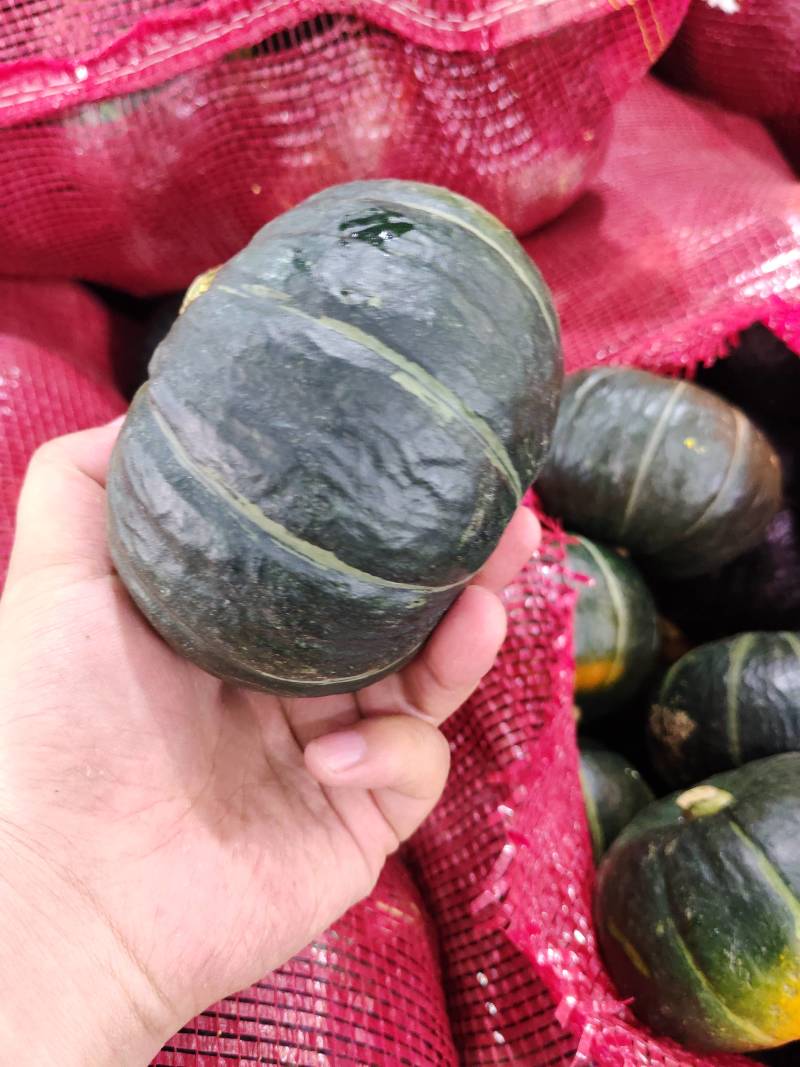 坏果包赔！粉糯香甜贝贝南瓜，老少皆宜，