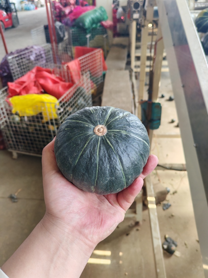 坏果包赔！粉糯香甜贝贝南瓜，老少皆宜，