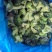 速冻西兰花新鲜蔬菜