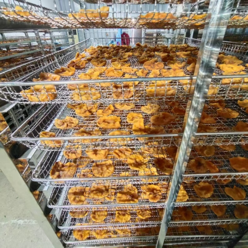 山东淮坊苹果干果脯厂家直供品质好价格低，可视频看货