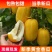 新鲜水果头茬黄金蜜瓜甜瓜新鲜当季农家黄金瓜甜瓜蜜瓜脆甜小