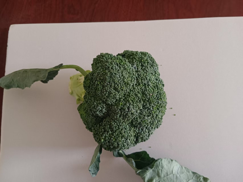 邯郸魏县精品西兰花对接商超电商欢迎来购