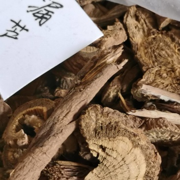 漏芦