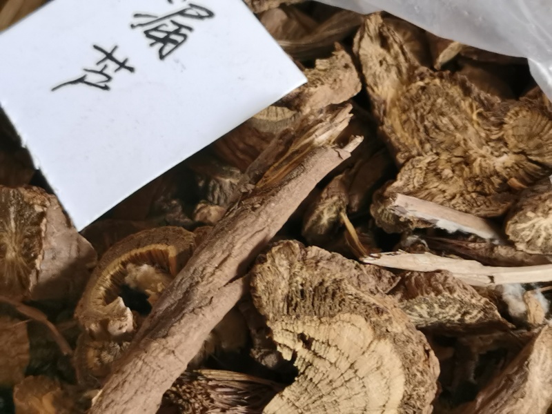 漏芦