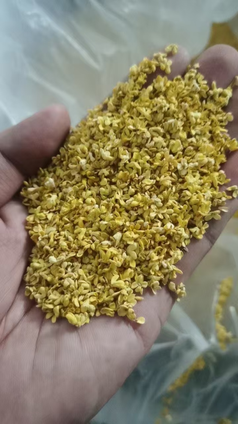 金秋特级干桂花，香气浓郁，品质上乘