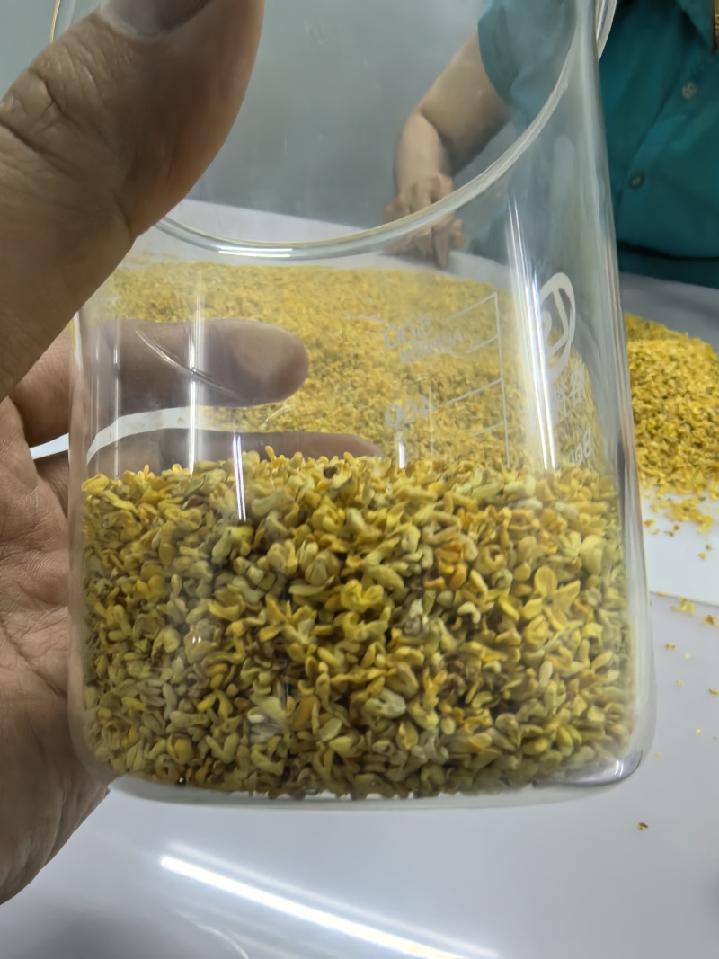 金秋特级干桂花，香气浓郁，品质上乘