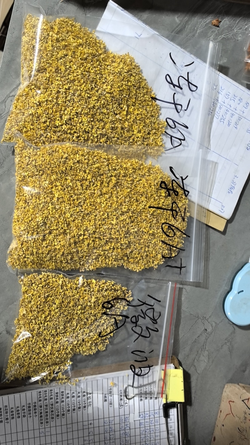 金秋特级干桂花，香气浓郁，品质上乘