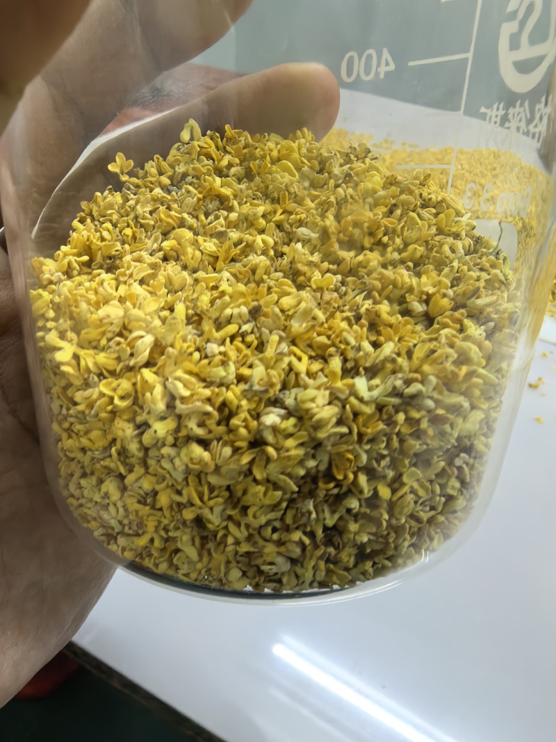 金秋特级干桂花，香气浓郁，品质上乘