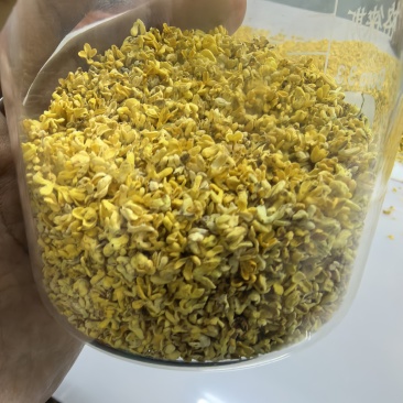 金秋特级干桂花，香气浓郁，品质上乘