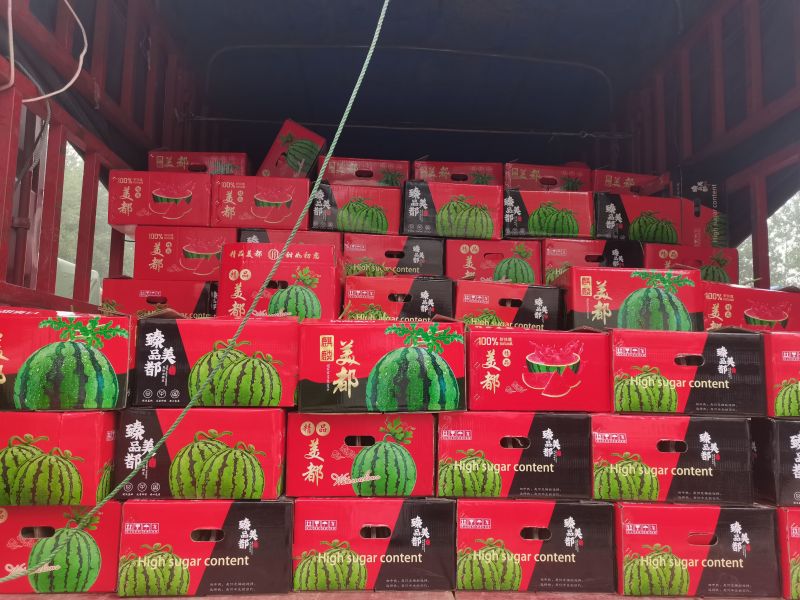 美都西瓜，无籽西瓜无籽麒麟西瓜货源稳定代收代发全国市