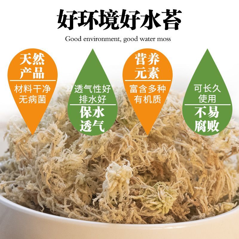 水苔.湖南纯野生水苔，兰花专用.海草花一手货源产地直供