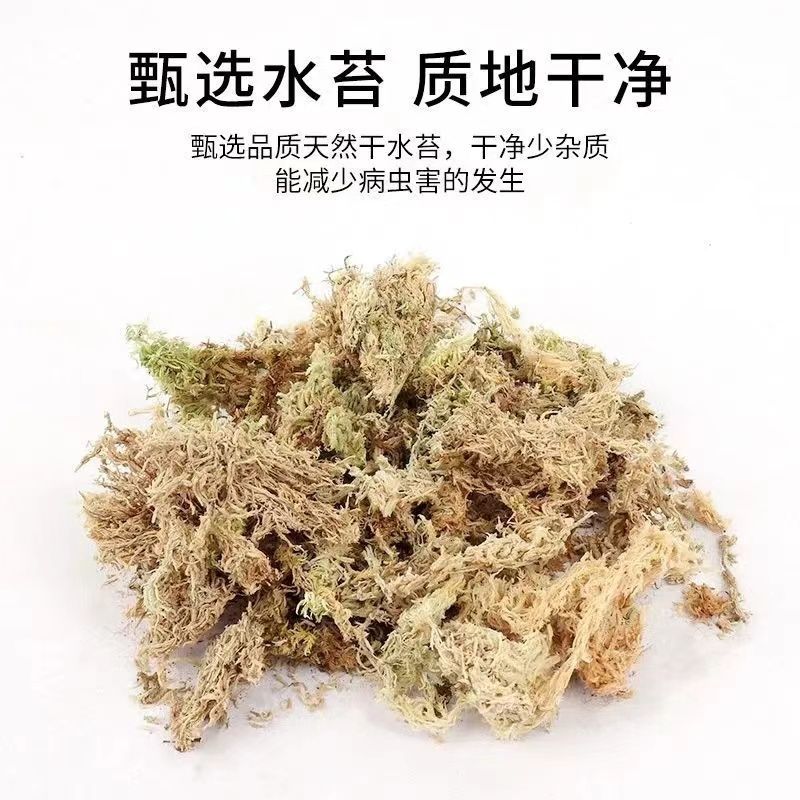 水苔.湖南纯野生水苔，兰花专用.海草花一手货源产地直供