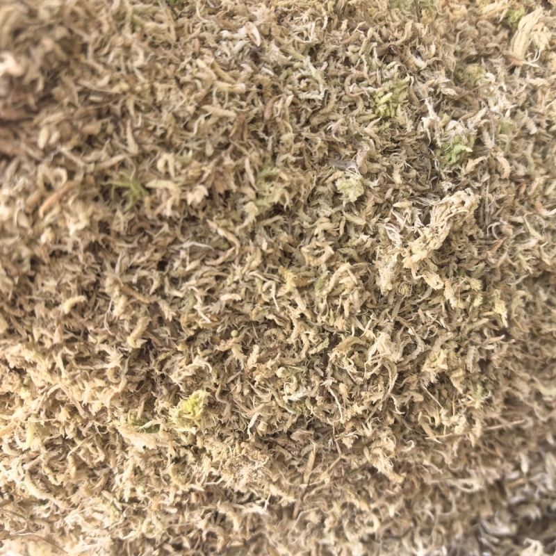 水苔.湖南纯野生水苔，兰花专用.海草花一手货源产地直供
