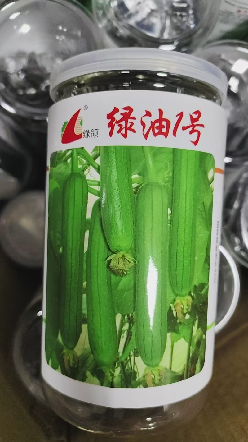 绿油一号丝瓜种子早熟绿油皮短棒肉丝瓜种籽清香丝瓜种子