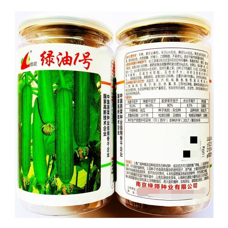 绿油一号丝瓜种子早熟绿油皮短棒肉丝瓜种籽清香丝瓜种子