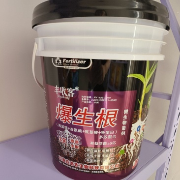 爆生根氨基酸微生物菌剂5亿，生根壮苗长主根侧根毛细根