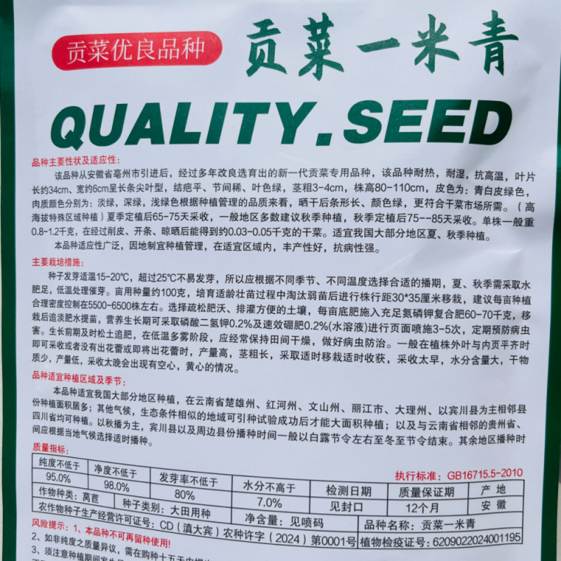贡菜一米青贡菜专用种子优选提纯高产抗旱抗病品相好