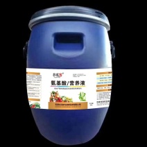 氨基酸营养液生根壮苗氨基酸全面营养