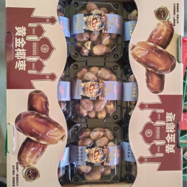 伊拉克黄金椰枣