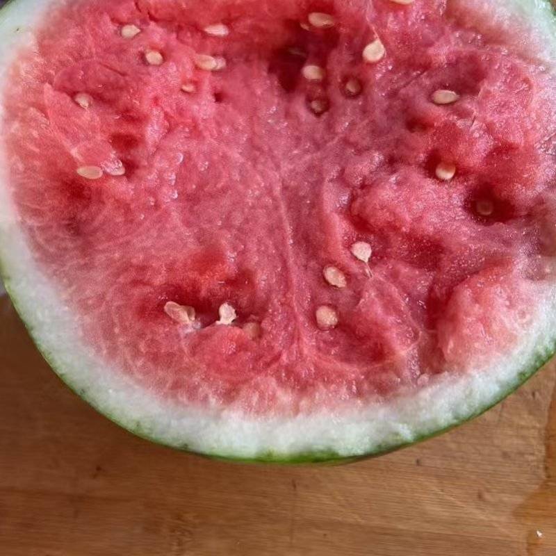 无籽美都西瓜大棚西瓜河南产区直发保质保量供货