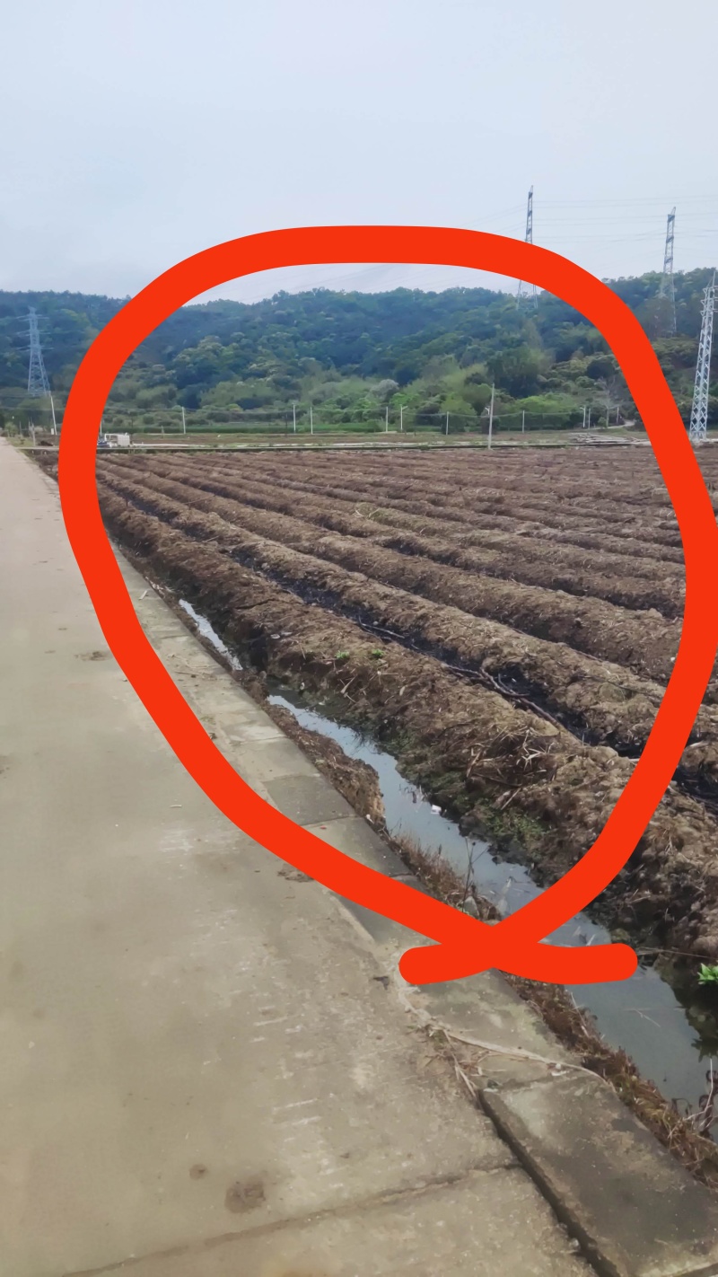水田出租