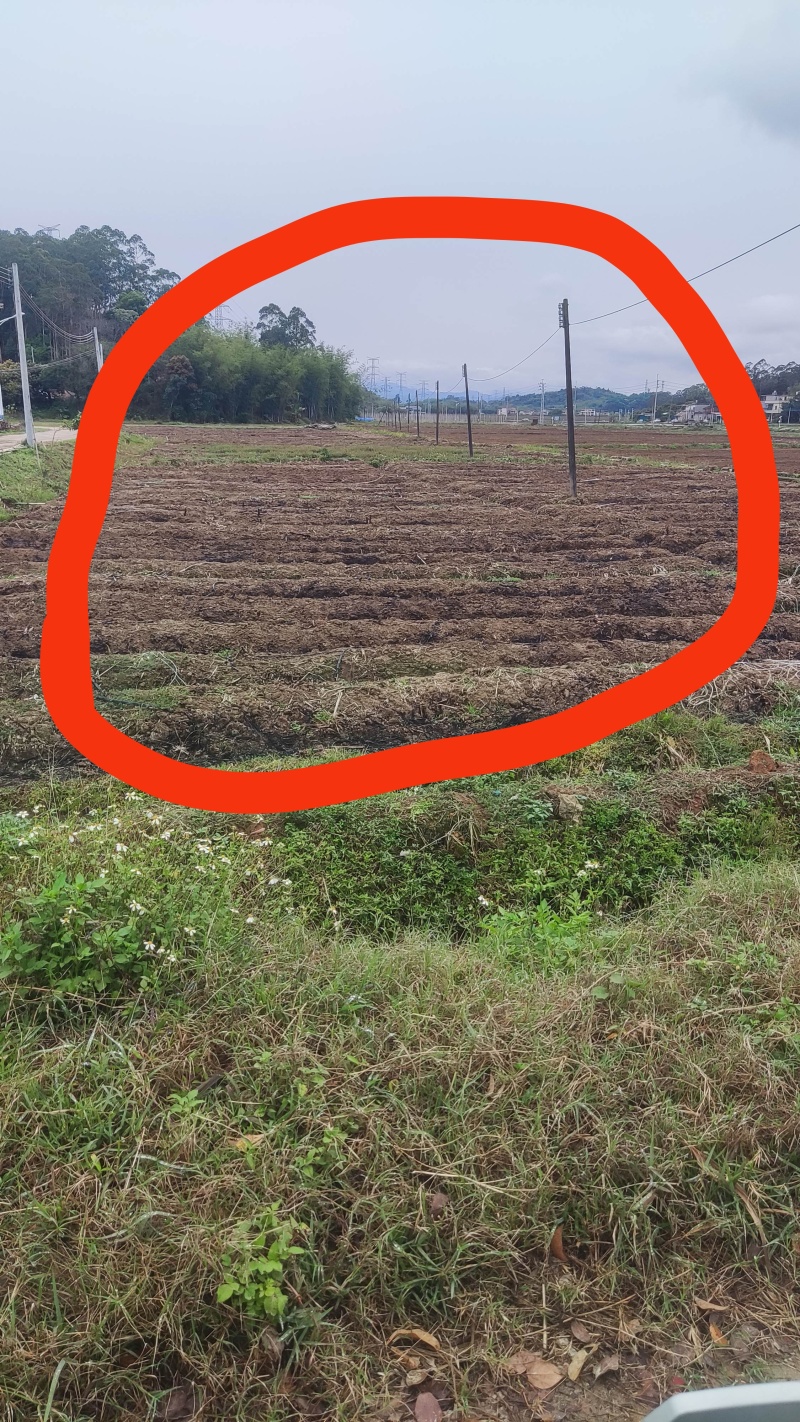 水田出租