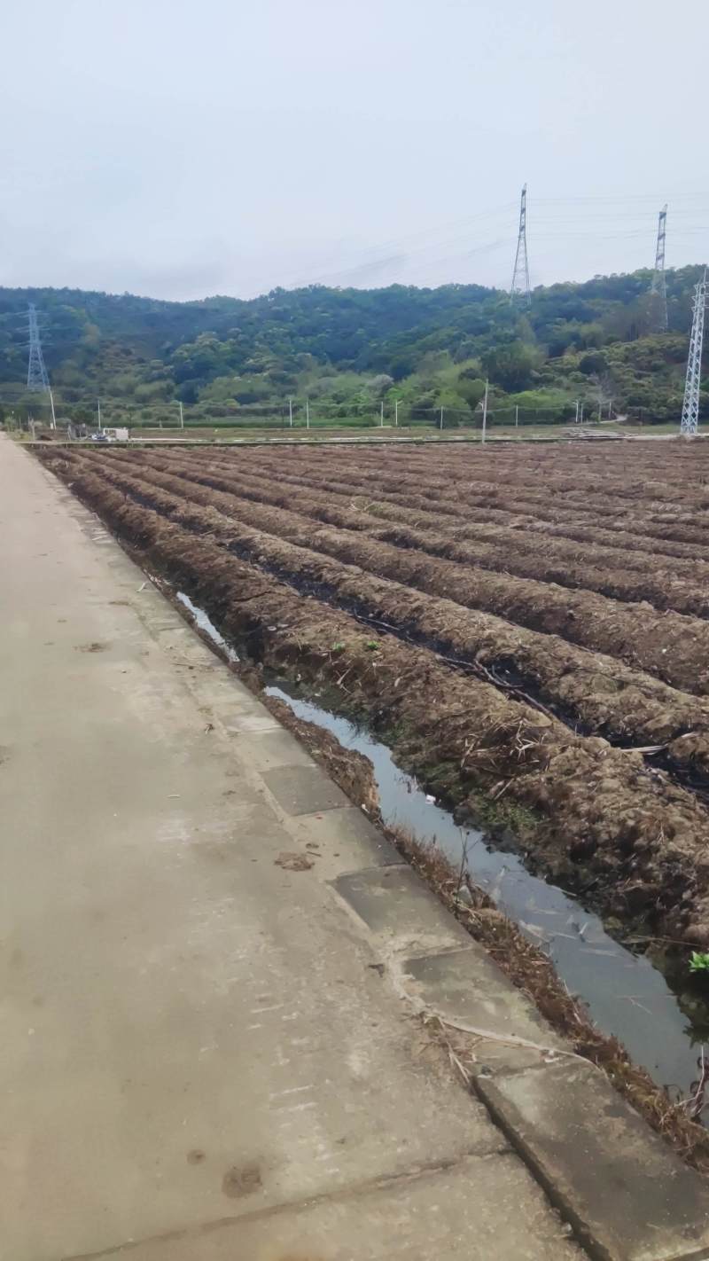 水田出租