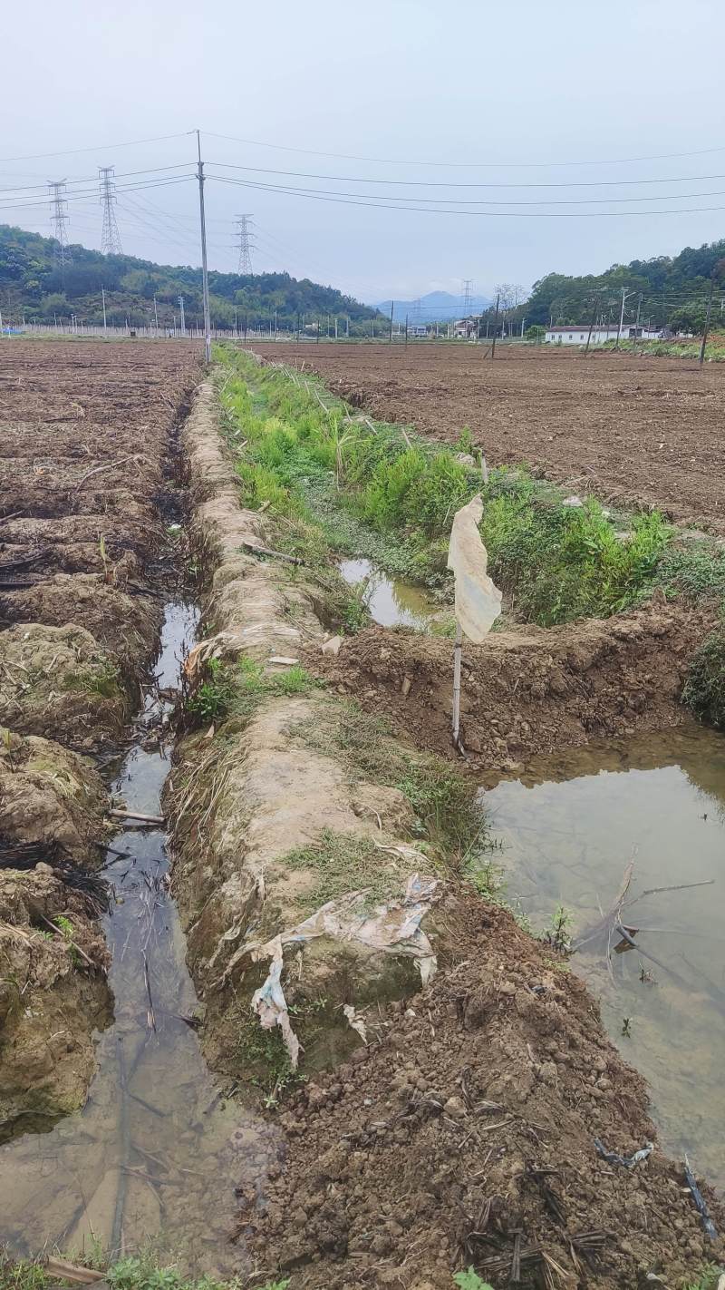 水田出租