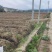 水田出租