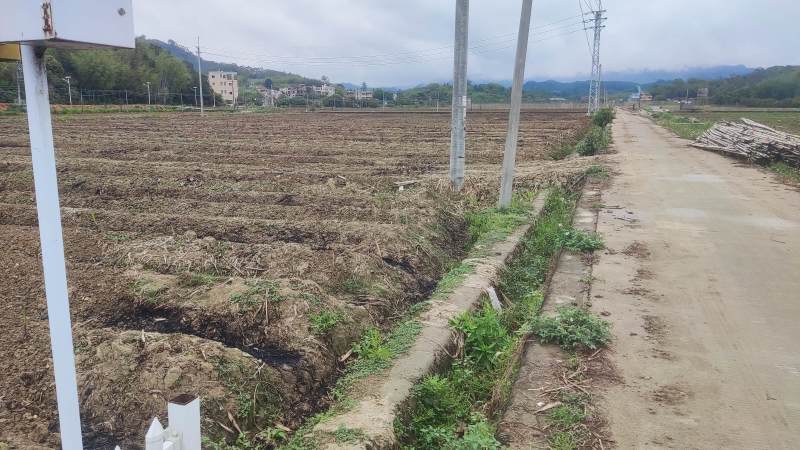 水田出租