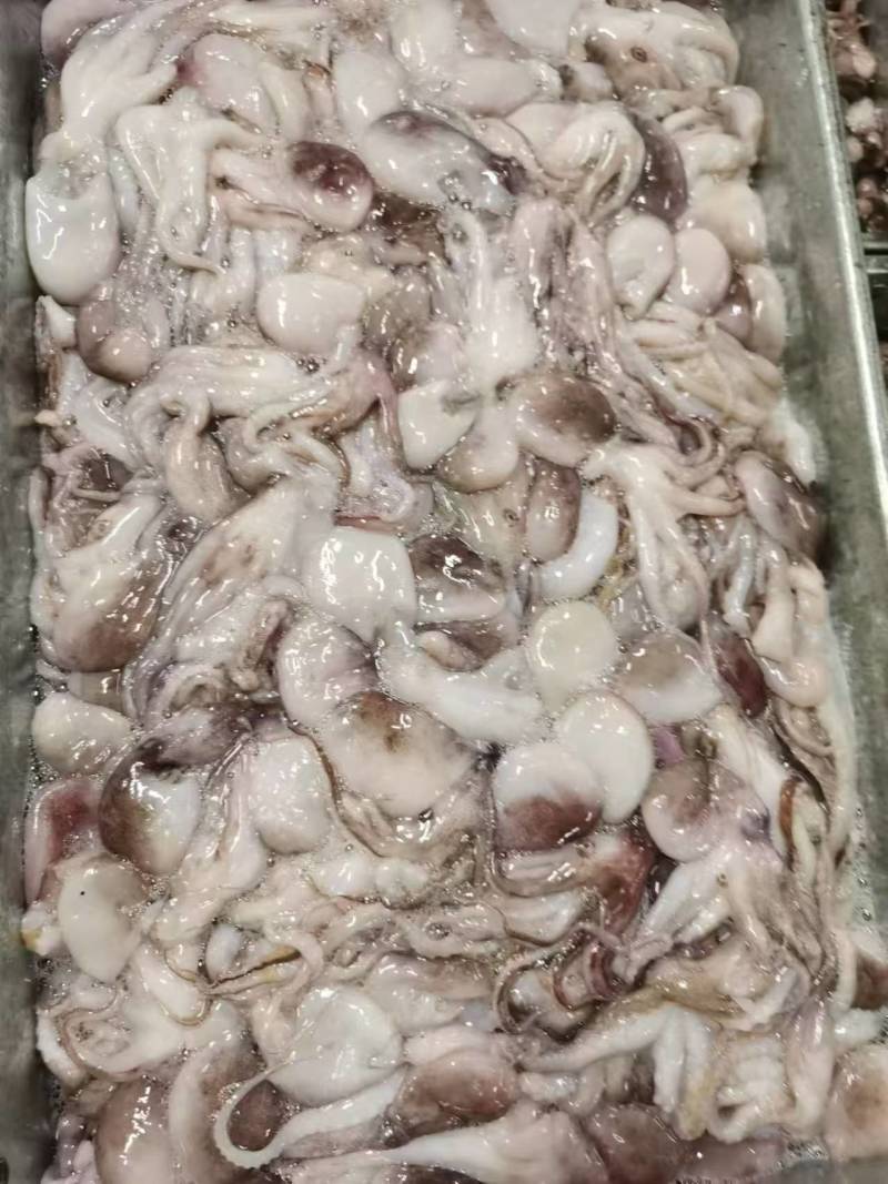 次品小八爪适用快餐店