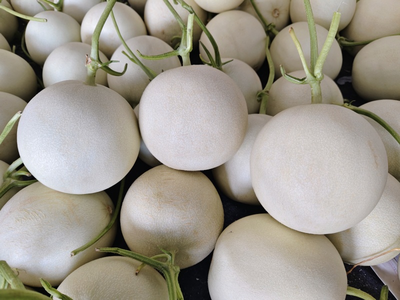 冰淇淋玉菇甜瓜奶香蜜白玉茹档口商超社区团购电商直播