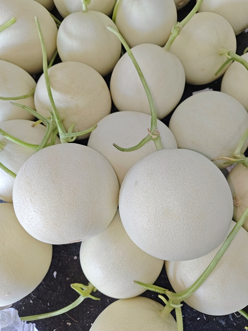 冰淇淋玉菇甜瓜奶香蜜白玉茹档口商超社区团购电商直播