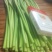 蒜苔，红帽蒜薹墨绿色优选蒜苔产地发货量大从优