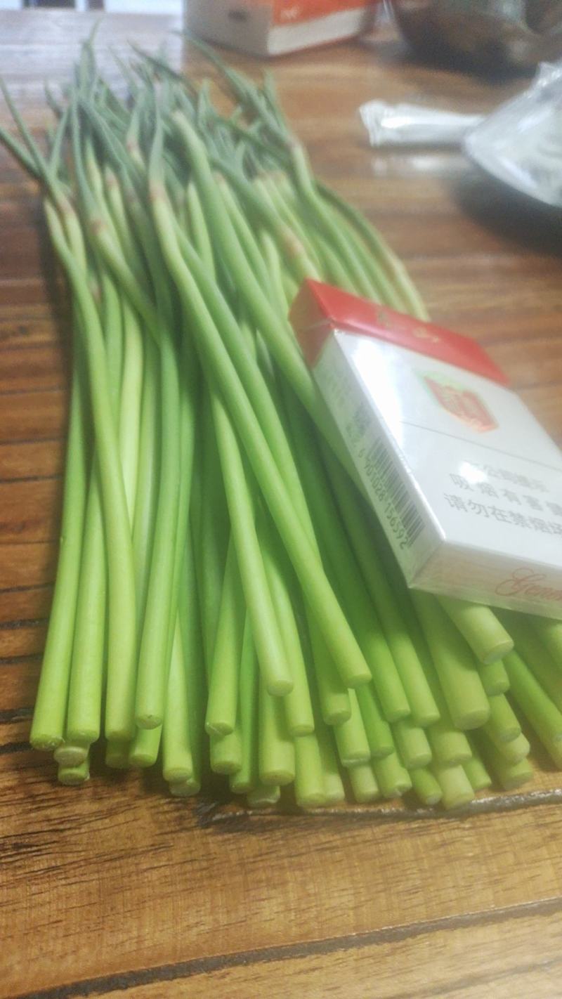 蒜苔，红帽蒜薹墨绿色优选蒜苔产地发货量大从优