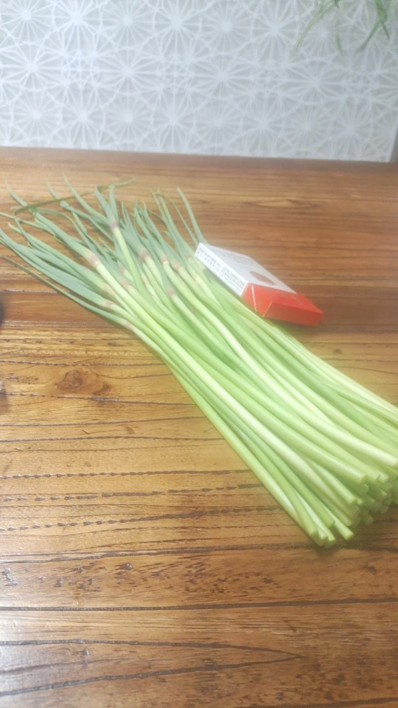 蒜苔，红帽蒜薹墨绿色优选蒜苔产地发货量大从优