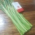 蒜苔，红帽蒜薹墨绿色优选蒜苔产地发货量大从优