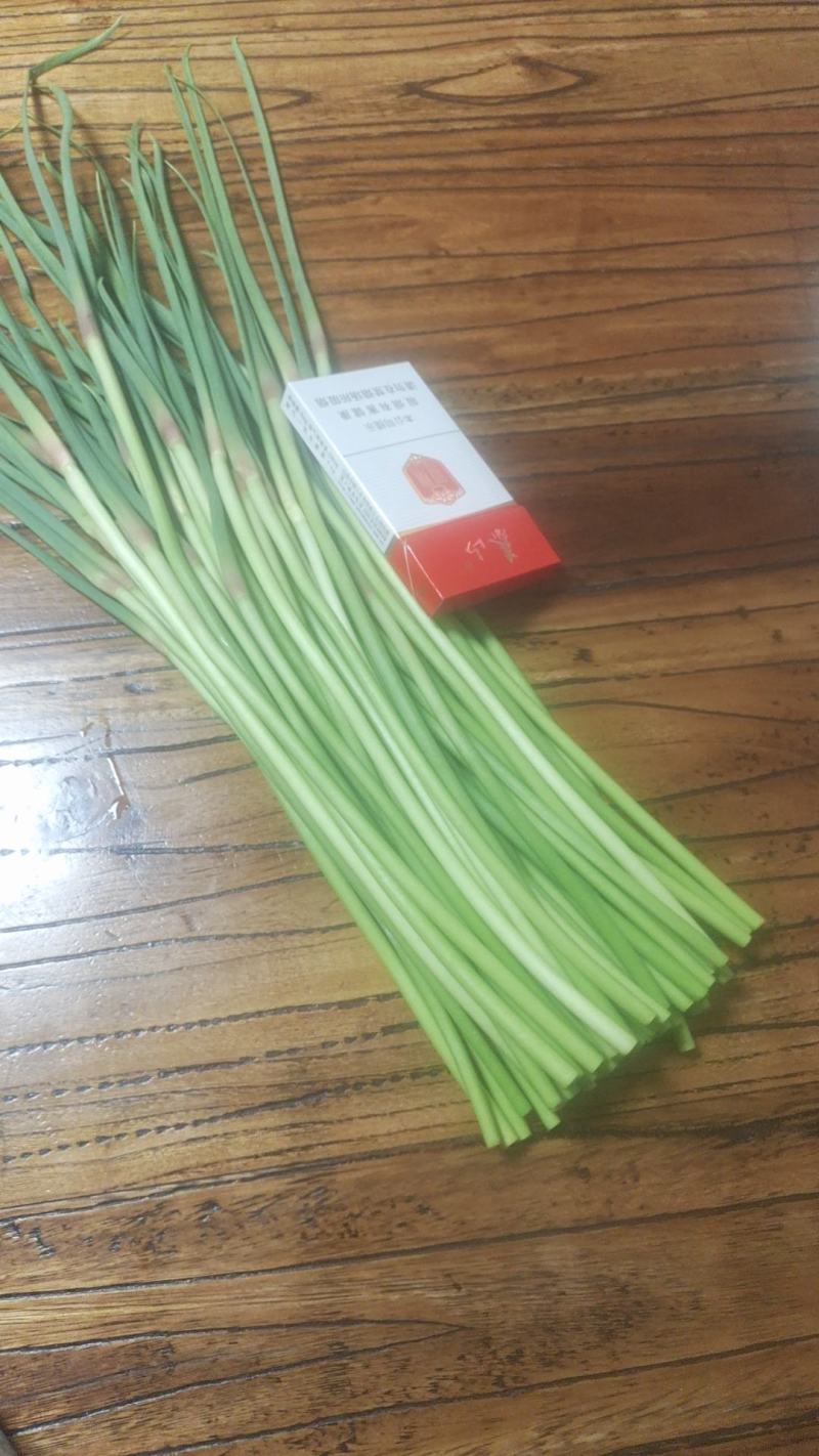 蒜苔，红帽蒜薹墨绿色优选蒜苔产地发货量大从优