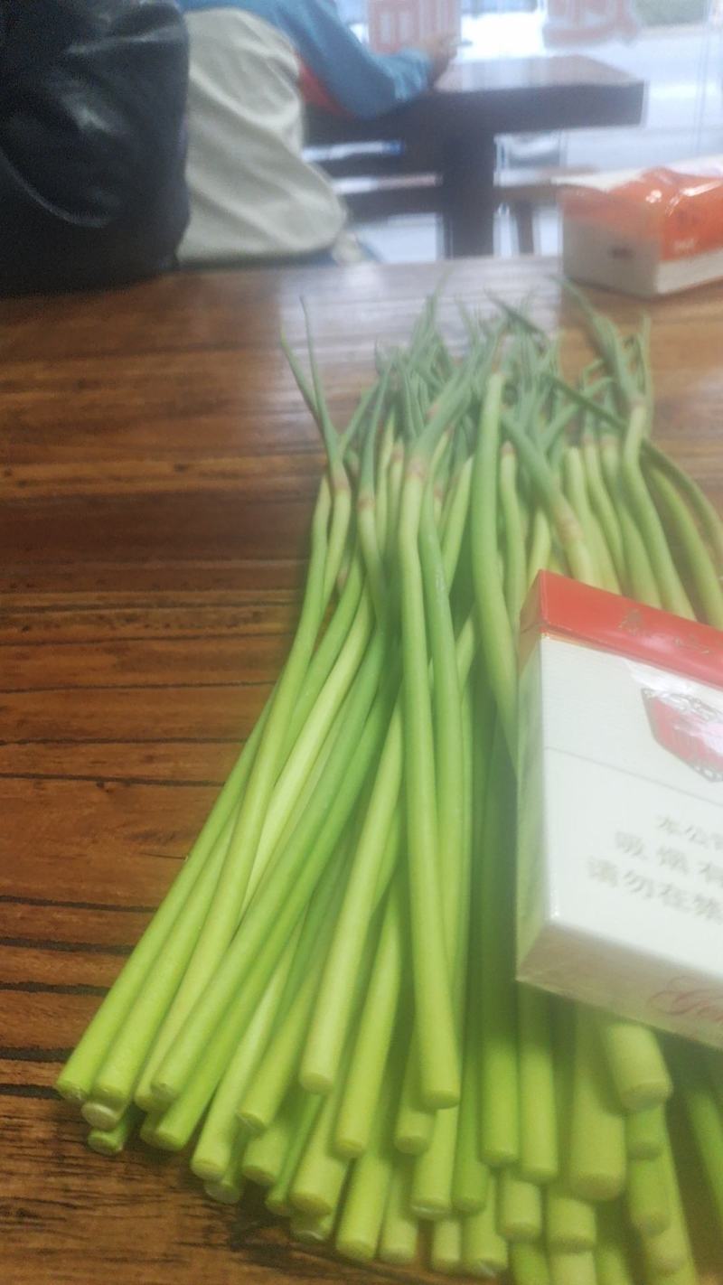 蒜苔，红帽蒜薹墨绿色优选蒜苔产地发货量大从优