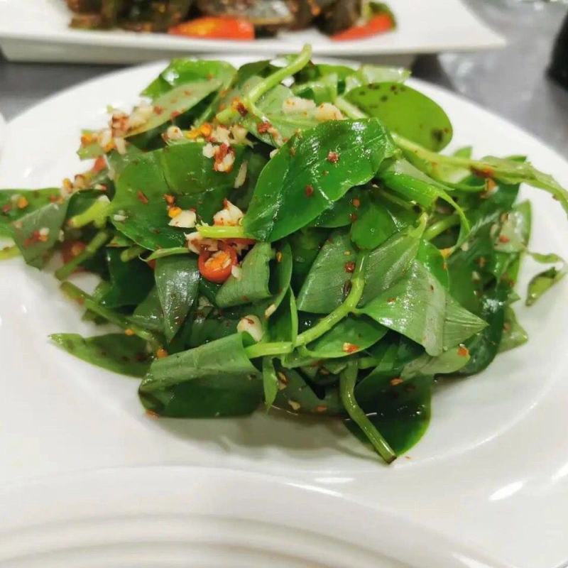 新鲜可食用石斛苗，单独包装菜200克一包